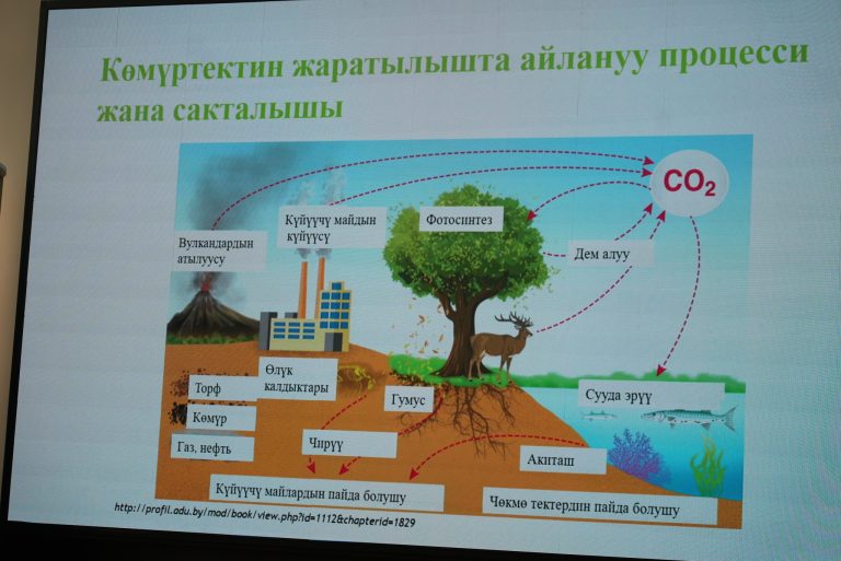 КМУда “Жашыл университет жана жашыл көндүмдөрдү калыптандыруу” аталышында семинар өттү